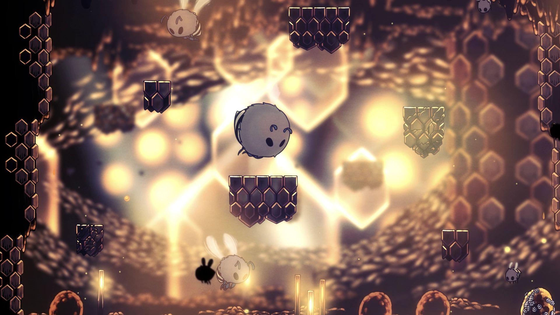 A picture of the hive